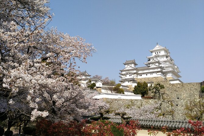 2.5 Hour Private History and Culture Tour in Himeji Castle - Timing, meeting point, and practical details