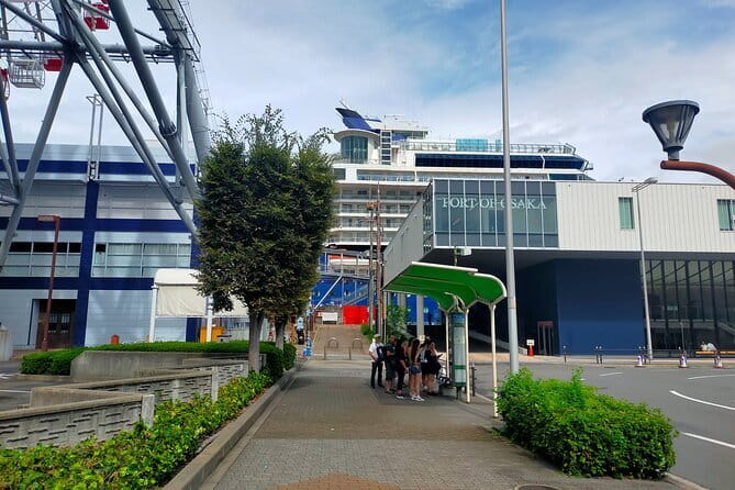 4/5/6 Hours Private Osaka Tour Designed for Cruise Passengers - A port-day plan built around your group