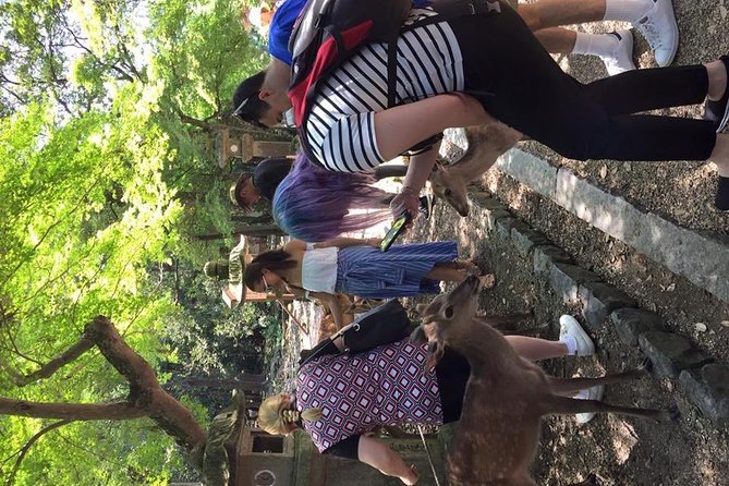All must-sees in 3 hours - Nara Park Classic Tour! From JR Nara! - Who should choose this Nara walk?