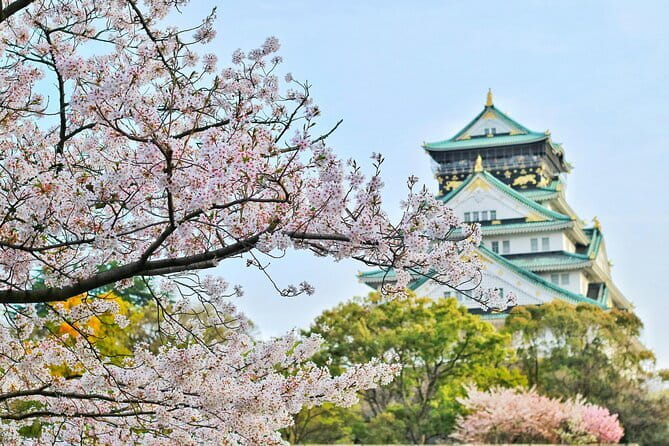 Amanohashidate & Ine Boathouse Full-Day Tour from Kyoto or Osaka - Who should choose this day trip