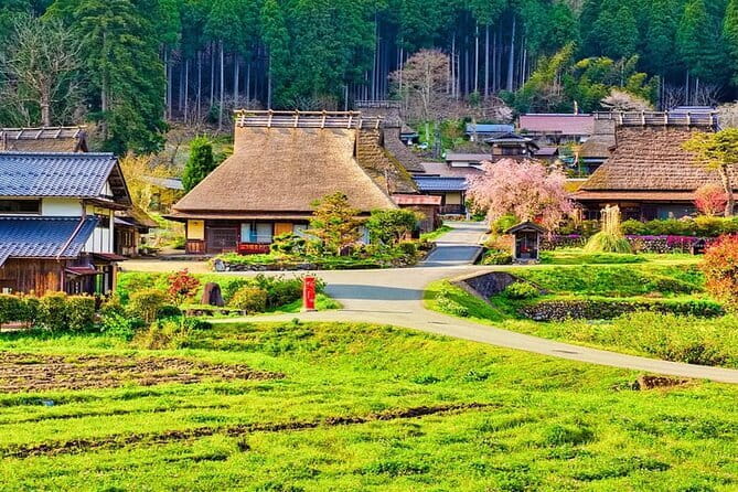 Amanohashidate & Ine Funaya Kyoto coast day trip from Osaka/Kyoto - What the $84.25 fare covers