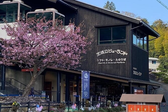 Amanohashidate & Ine Funaya Sightseeing Full Day Trip from Kyoto - Amanohashidate from the viewpoint