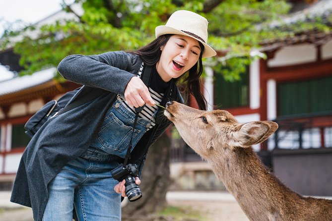 Ancient Capital Tour: Kyoto and Nara Highlights from Kyoto/Osaka - The day at a glance