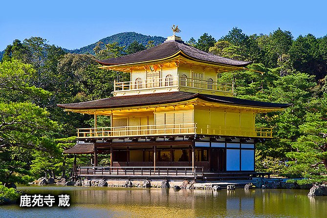 Ancient Capital Tour: Kyoto and Nara Highlights from Kyoto/Osaka - Nara Park and the Great Buddha