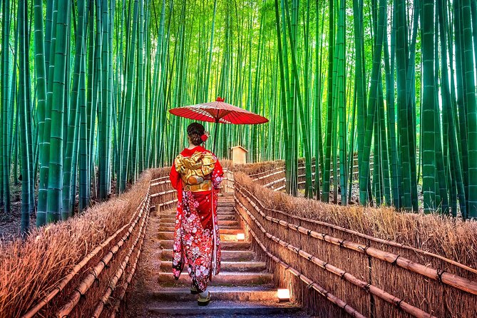 Ancient Capital Tour: Kyoto and Nara Highlights from Kyoto/Osaka - What the $90.75 price gets you