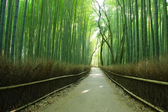 Ancient Capital Tour: Kyoto and Nara Highlights from Kyoto/Osaka - Who will get the most from this tour