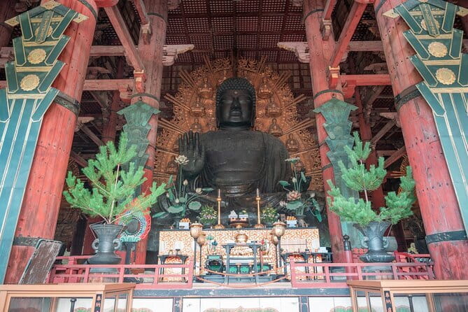 Discover Ancient Nara: Private Car Tour from Kyoto or Osaka - Meet Nara’s deer, with a little care