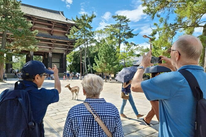 Discover Ancient Nara: Private Car Tour from Kyoto or Osaka - What the price buys, and what it does not