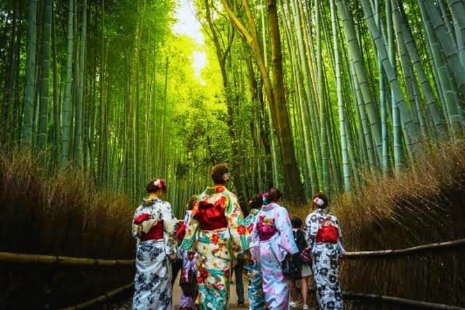 Discover Himeji, Kobe and Nara from Osaka - Who should book this day trip?