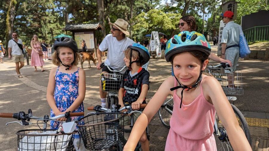 E-Bike Nara Highlights - Todaiji, Knives, Deer, Shrine - What makes this ride worthwhile