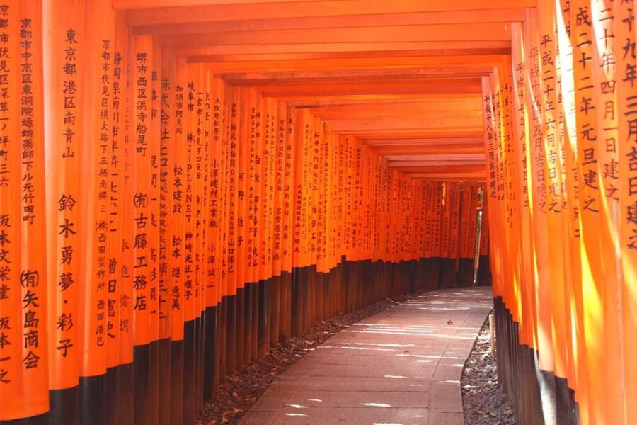 From Kyoto or Osaka: Kyoto Highlights & Nara Park Day Trip - Nara Park late in the afternoon