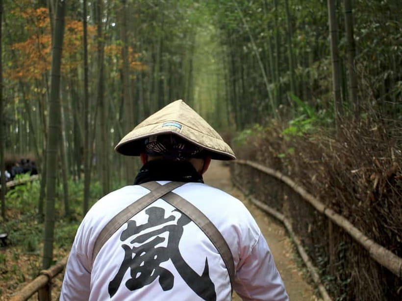 From Kyoto/Osaka: Kyoto Top Highlights 1-Day Guided Bus Tour - Walking Through Fushimi Inari’s Torii Gates