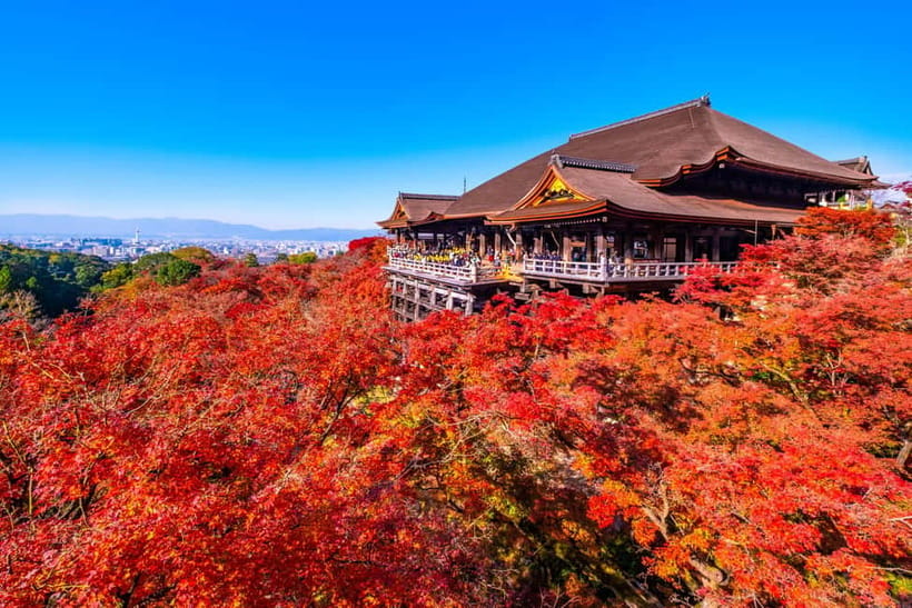 From Kyoto/Osaka: Kyoto Top Highlights 1-Day Guided Bus Tour - Arashiyama’s Bamboo and Riverside Paths