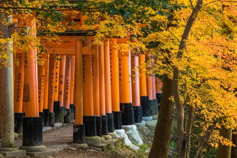 From Kyoto/Osaka: Kyoto Top Highlights 1-Day Guided Bus Tour - The Coach Makes a Wide City Easier
