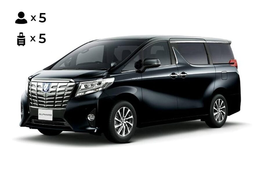 From Osaka: 10-hour Private Customized Tour to Nara - A guide is not the same thing as a driver
