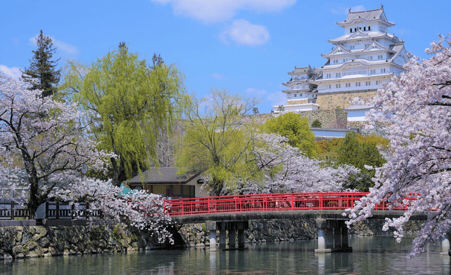 From Osaka: Himeji Castle, Arima Onsen & Mt. Rokko Day Tour - Himeji Castle: the day’s essential stop