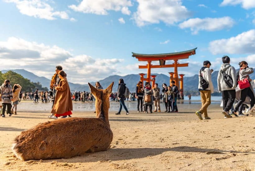 From Osaka: Hiroshima and Miyajima Day Trip by Bullet Train - Miyajima’s shrine, torii gate, and roaming deer