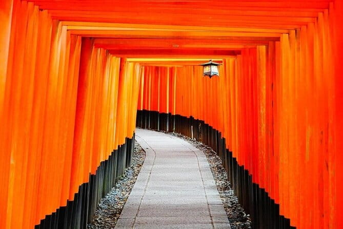 From Osaka/Kyoto: Kyoto & Nara Day Trip with Optional Lunch - Arashiyama: bamboo, with choices to make