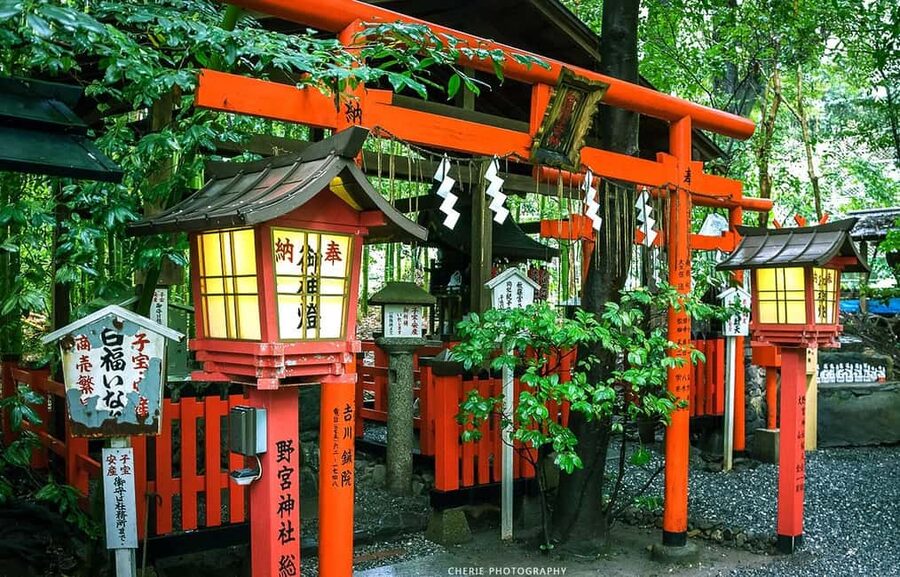 From Osaka: Kyoto, Nara, Fushimi Inari & Arashiyama Day Tour - Nara Park: a close encounter with the deer