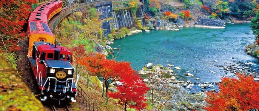 From Osaka: Kyoto, Nara, Fushimi Inari & Arashiyama Day Tour - Who should book this day trip?