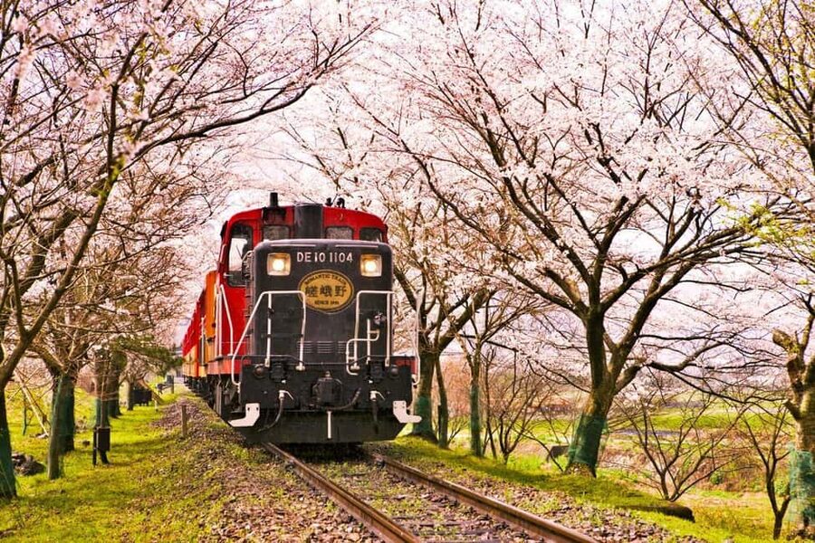 From Osaka: Kyoto, Nara, Fushimi Inari & Arashiyama Day Tour - Fushimi Inari: walk beneath the red gates