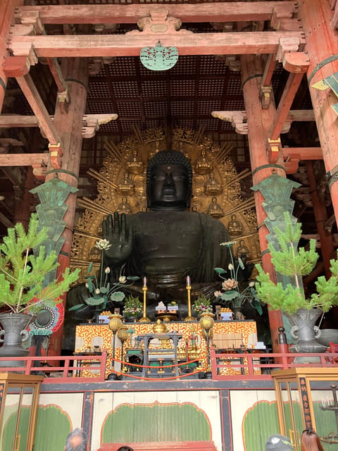 From Osaka: Nara Private Tour with Meet-Up at Your Hotel - At a glance