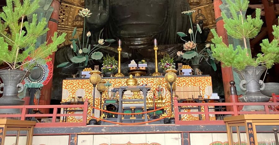 From Osaka: Nara Private Tour with Meet-Up at Your Hotel - Getting from Osaka to Nara