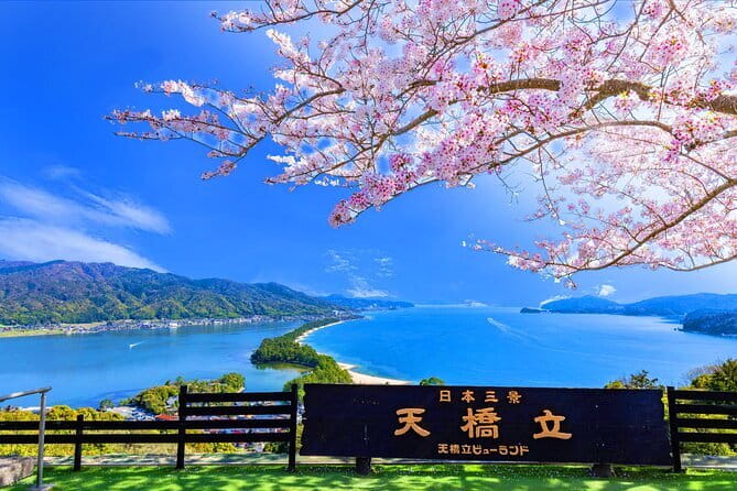 From Osaka or Kyoto: Full Day Sightseeing Tour of Kyoto - Who should book this Kyoto day trip?