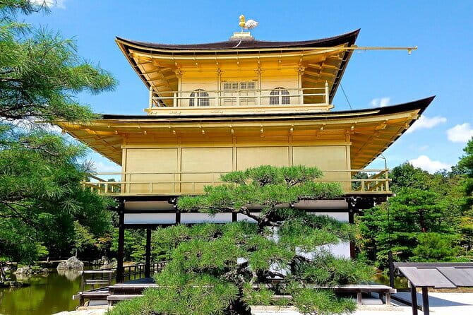 From Osaka or Kyoto: Kyoto and Nara 1-Day Bus Tour - At a glance