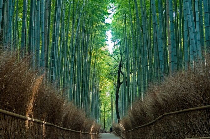 From Osaka or Kyoto: Kyoto and Nara 1-Day Bus Tour - Arashiyama’s bamboo paths