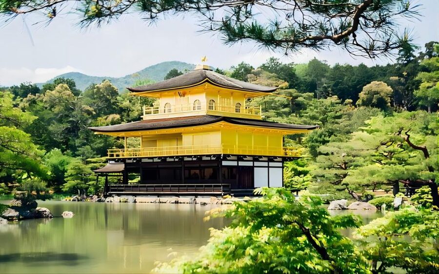 From Osaka: Private Customizable Day Tour to Kyoto - Driver or guide: know which service you are booking