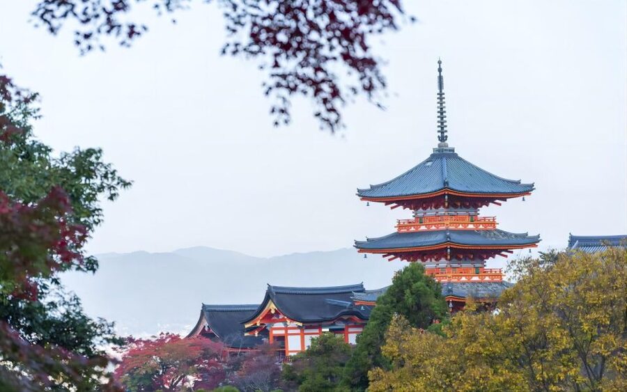 From Osaka: Private Customizable Day Tour to Kyoto - Who should book this Kyoto day trip?