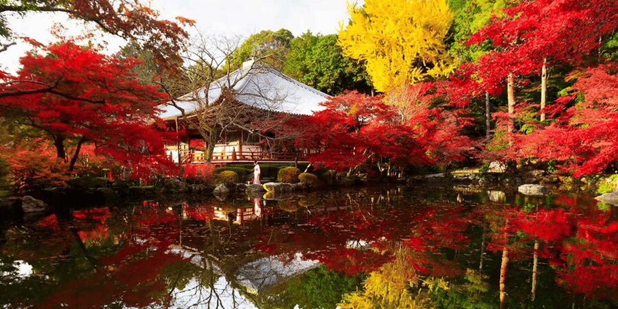 From Osaka: Private Customized Day Tour to Kyoto - At a glance