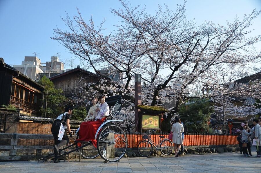 From Osaka: Private Customized Day Tour to Kyoto - Who will enjoy this day most?