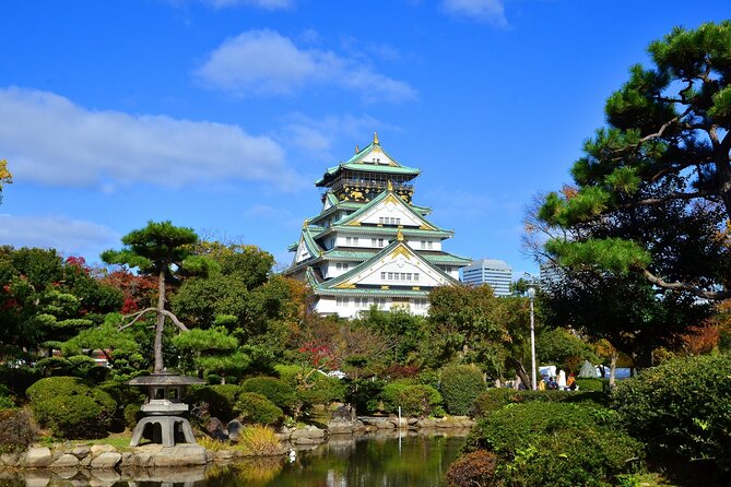 Full Day Guided Tour in Osaka by Van - What to know before you book