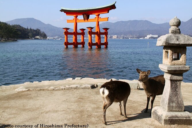 Full Day Hiroshima and Miyajima Tour by Bullet Train from Osaka - FAQ