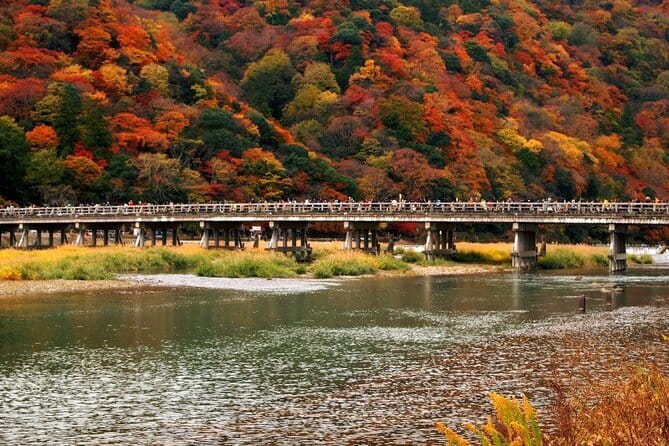 Full Day Tour of Kyoto with Private Transportation - What the guide adds to the day