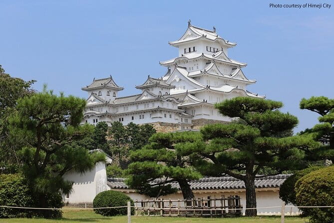 Himeji Castle and Akashi Kaikyo Bridge Walking Tour from Osaka - Key points to know before you go