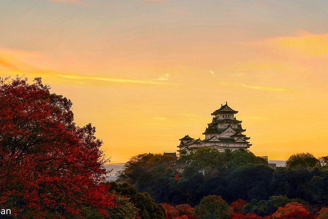 Himeji Full-Day Private Tour with Government-Licensed Guide - Mount Shosha and Engyo-ji make the day more active