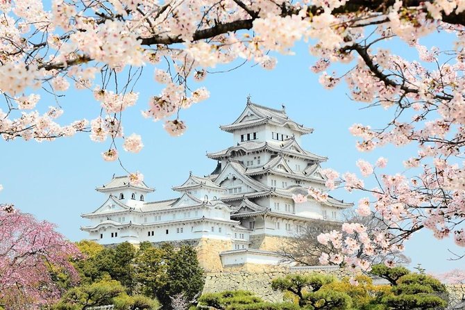 Himeji Half-Day Private Tour with Government-Licensed Guide - Sake, art, shrines, and city views