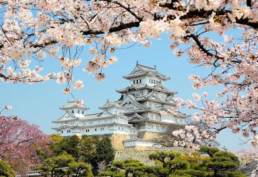 Himeji: Private Customized Tour with Licensed Guide - Ride up Mt. Shosha to Engyo-ji Temple