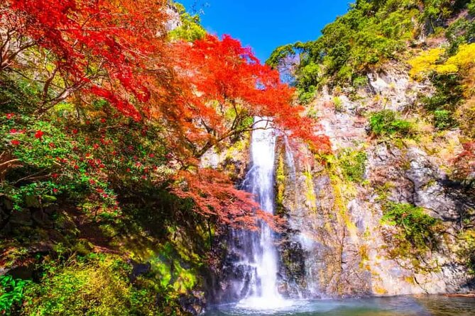 Katsuo-ji Temple, Arashiyama Forest, & Nara Park - What the guide does, and what you should expect