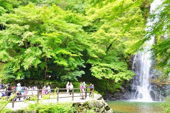 Katsuo-ji Temple, Arashiyama Forest, & Nara Park - Is this Osaka day trip worth booking?