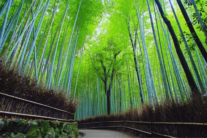 Katsuo-ji Temple, Arashiyama Forest, & Nara Park - FAQ