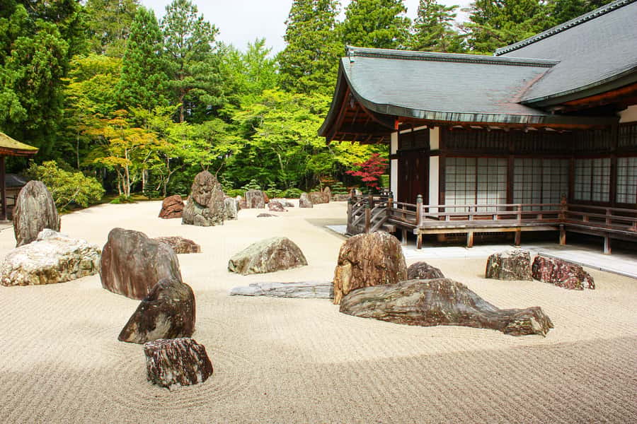 Koyasan: A Mysterious Meditation Journey - Key points to know