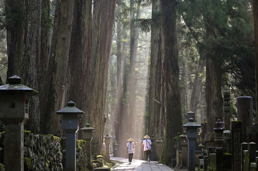 Koyasan: A Mysterious Meditation Journey - Reaching Koyasan without the transport puzzle