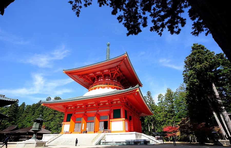 Koyasan: A Mysterious Meditation Journey - Danjo Garan and the Reihokan Museum