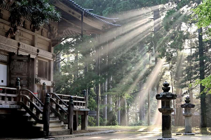 Koyasan: A Mysterious Meditation Journey - What the $539 covers, and what it does not