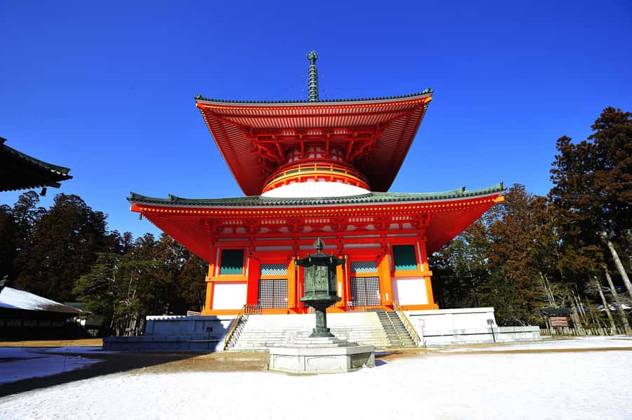 Koyasan: A Mysterious Meditation Journey - Who will get the most from this trip