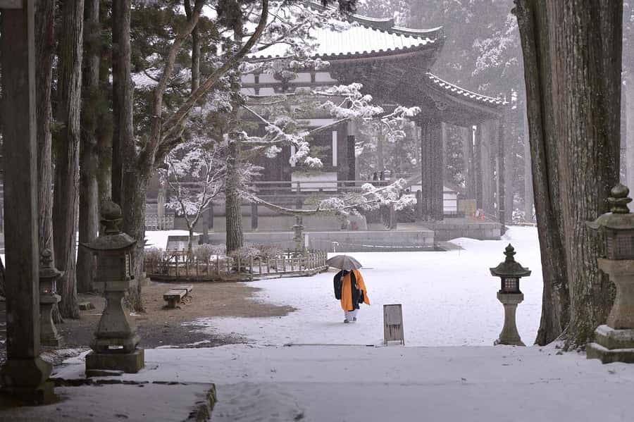 Koyasan: A Mysterious Meditation Journey - Should you book the Koyasan day trip?